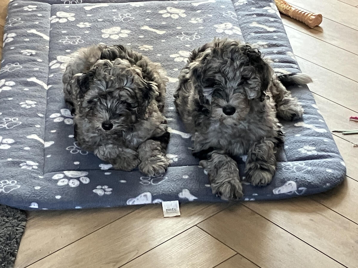 Thunder and Lightning