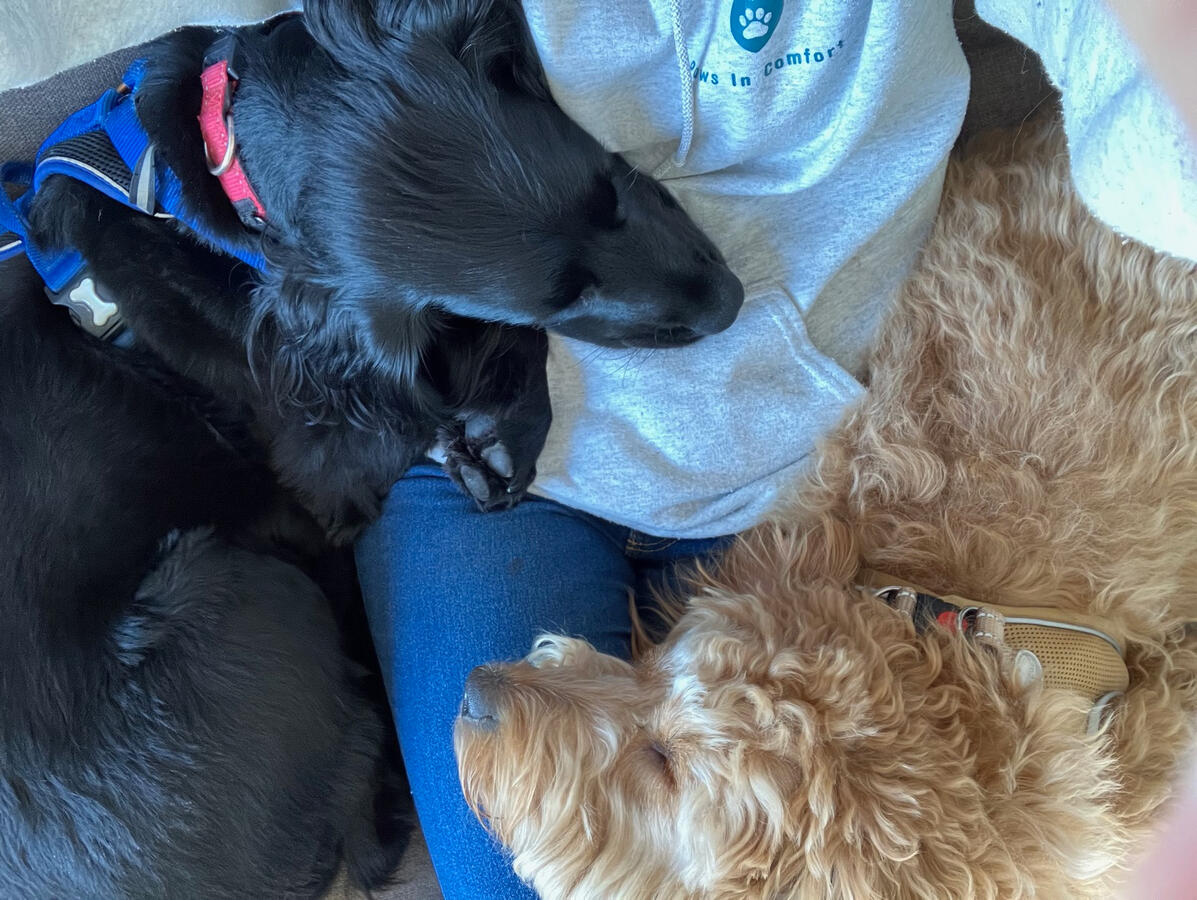 Jagger and Maple