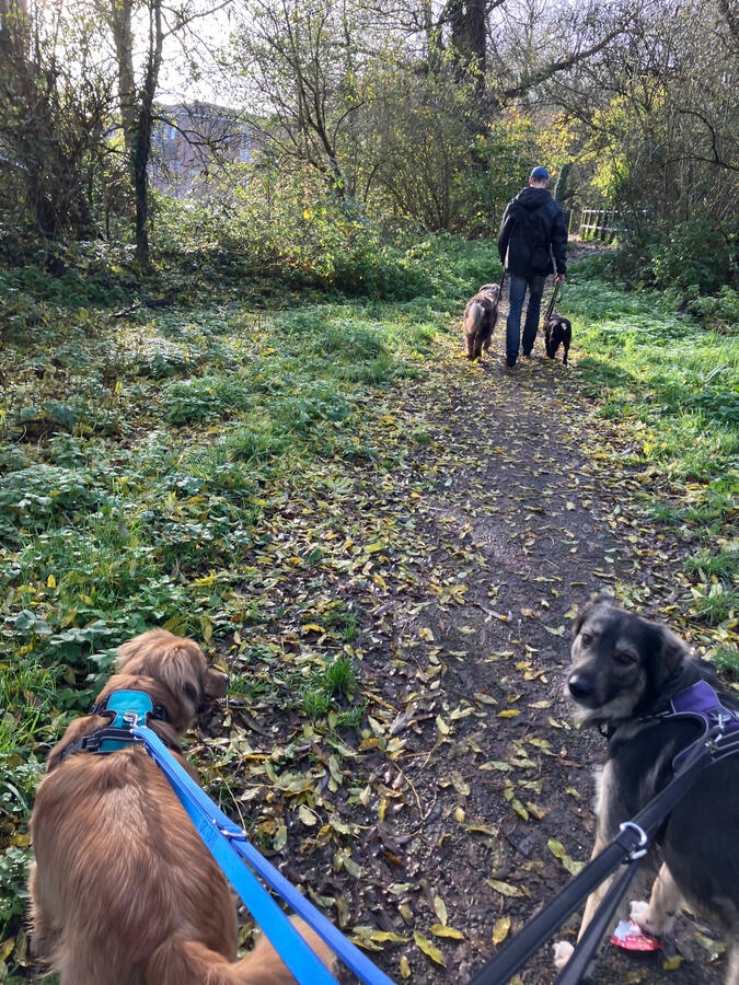 Kai & Rocco