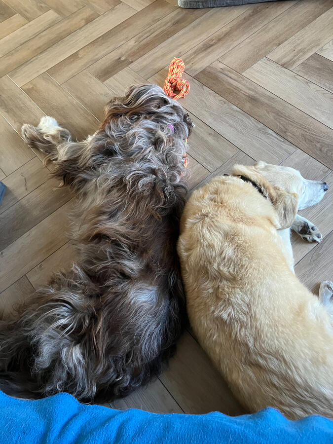 Storm & Marsha