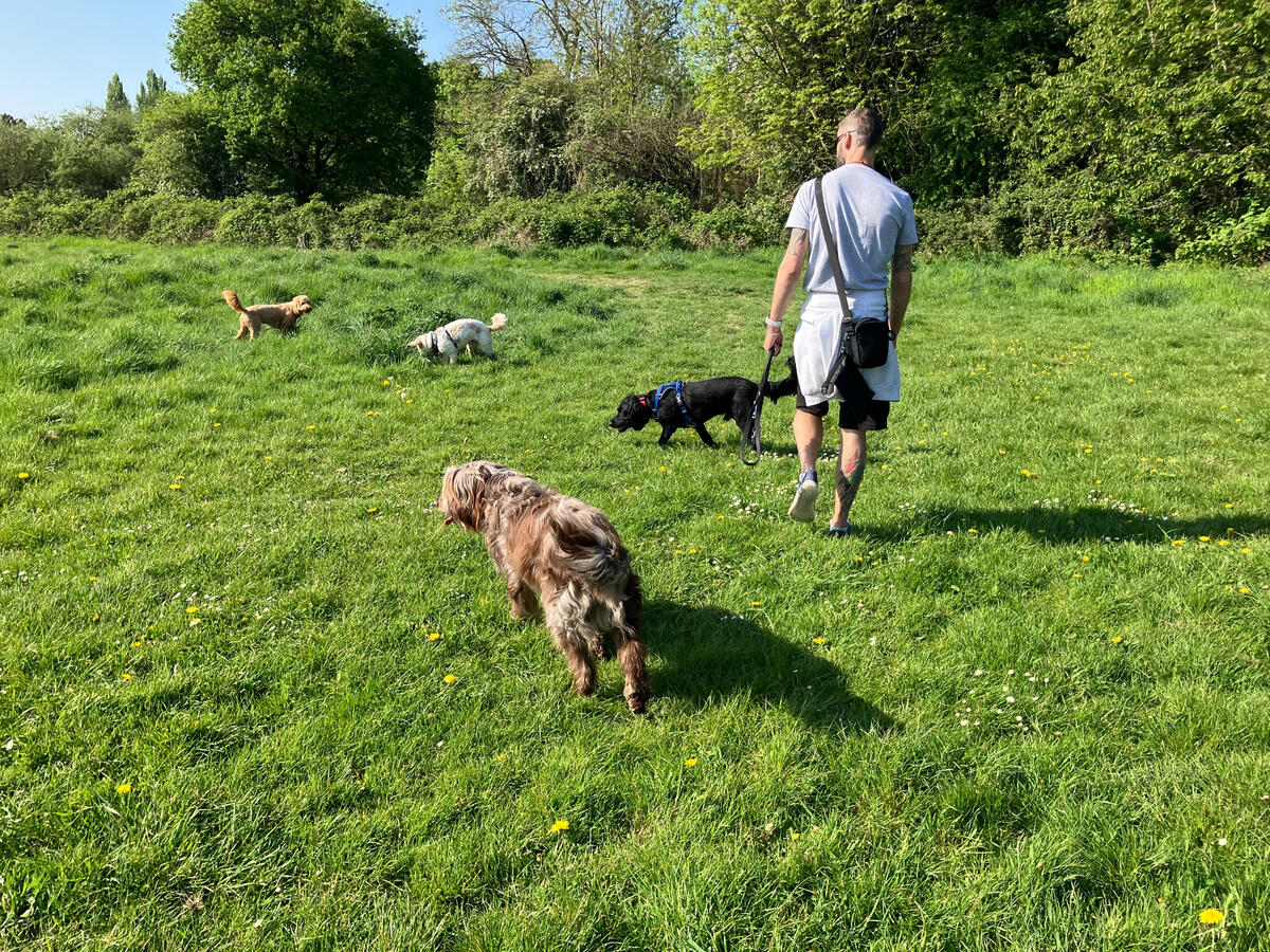 Jagger, Bailey, Maple & Storm