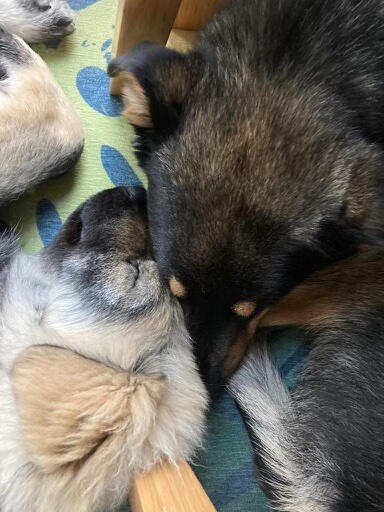 Edith and Rio