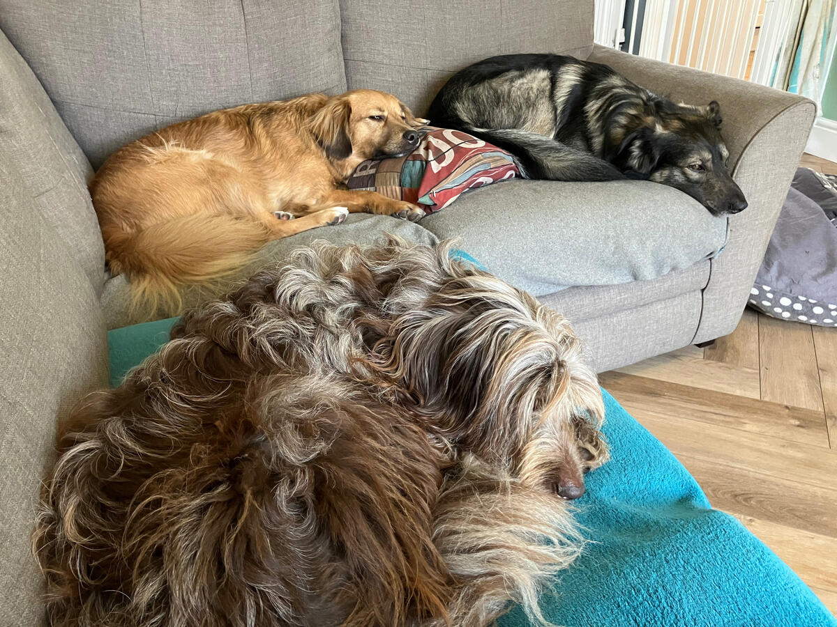 Kai & Rocco (and Storm, of course)