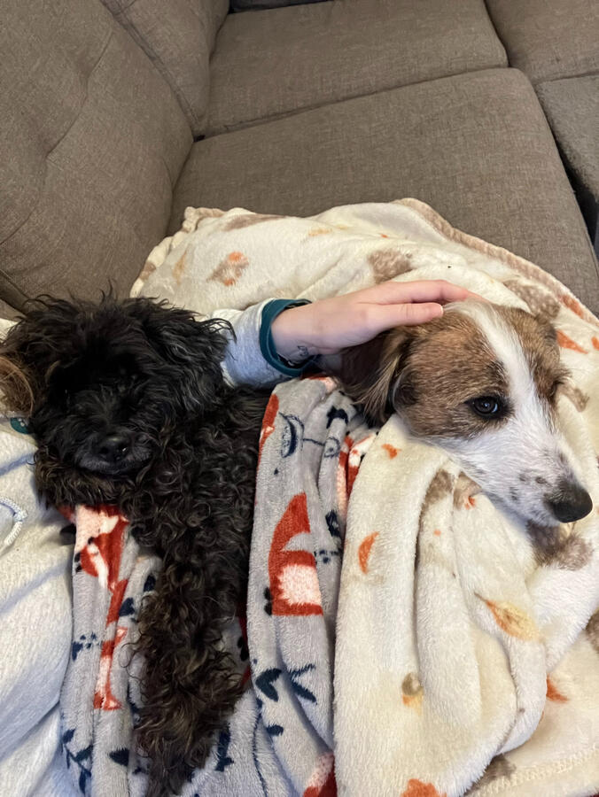 Jasper & Ava
